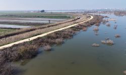 Bursa’da Tarlalar Sular Altında: Çiftçi Ekim İçin Beklemede