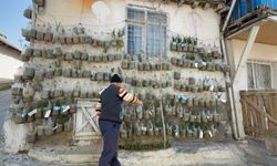 Bahçesi Yoktu, Duvarı Tarlaya Çevirdi!