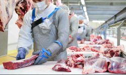 KIRMIZI ETTE BÜYÜK SKANDAL! 8 İLDE OPERASYON