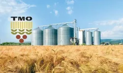 TMO'dan Çeltik Üreticisine 97 Milyon TL’lik Ödeme Müjdesi