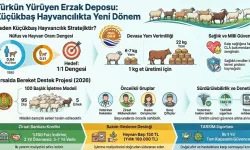 Hayvancılık Ülkenin Gerçek “Kaskosu”