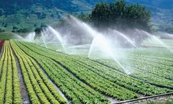 Tarımda Hibe Desteği Genişledi! Yeni Alanlar Belirlendi