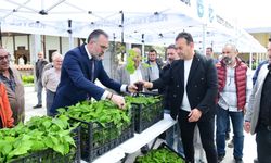 Kestel’den Dev Tarım Hamlesi: 6 Bin Ahududu Fidanı Dağıtıldı