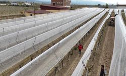 Kadın Girişimciden Tarımda Akılcı Çözüm