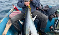 Dev Orkinos Sevinci Kısa Sürdü: Rekor Avın Ardından Gelen Şok Ceza