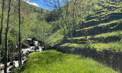 Artvin’de Bir Ustalık Destanı: İki Dönümü Sekiz Yapan Üç Kuşaklık Taş Mirası