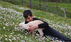 Boğazın Minik Çobanları Geliyor: Lapseki’de Çocuklar Podyuma Kuzularıyla Çıkacak