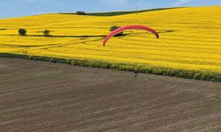 Tekirdağ'da Gökyüzü Sarıya Boyandı: Kanola Tarlaları Üzerinde Paramotor Şöleni