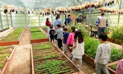 Osmangazi’de Minik Eller Toprakla Buluştu: Tohumdan Sofraya Uygulamalı Eğitim