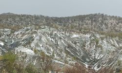 Elazığ'da Dolu Baskını: Arıcak Kısa Sürede Beyaza Büründü