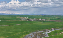 250 DÖNÜM TARLA SABOTAJ İDDİASIYLA GÜNDEMDE