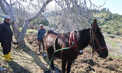 Gençler köyü terk edince iş yaşlılara kaldı