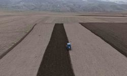 Iğdır’da Üretim Atağı! Hububatta Rekor Artış Bekleniyor