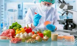 Gıda Güvenliğinde Asıl Ölçü: Üretim Değil Sağlık