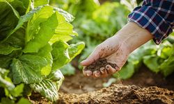 Tarımda Ezber Bozan Model Sahaya İndi