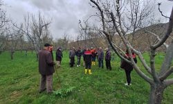 Ağaçta Verimi İkiye Katlıyor: Erzincan'da Dev Eğitim!
