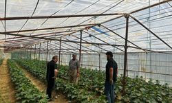 Yüksekova’da saha mesaisi: Çiftçinin her aşamada yanındalar!