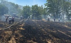 Minik bir şişe facia çıkarıyor: 29 derece uyarısı geldi!