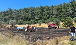 Çanakkale'de tarla yangını: Balya operatörü gözaltında