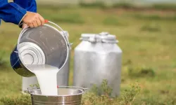 TÜSEDAD Sektörün Geleceği İçin Yol Haritasını Sundu