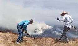 Yüksekova'da Tarım Arazisinde Yangın: Bin Balya Ot Kül Oldu