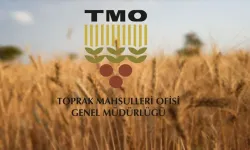 TMO’DAN HUBUBAT ALIM REKORU