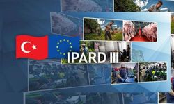 IPARD III Sonuçları Açıklandı: 1,2 Milyar TL Hibe