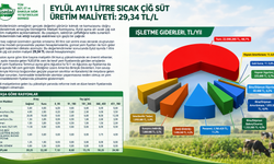 TÜSEDAD Hesapladı: Eylül Ayı Çiğ Süt Maliyeti Açıklandı