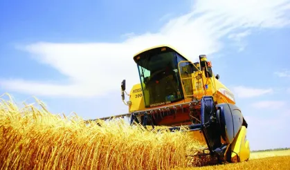 TÜİK açıkladı: Çiftçinin eylül ayı enflasyonu belli oldu