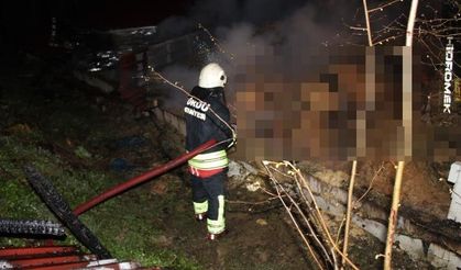 Ünye’de Ahır Yangını: 27 Büyükbaş Hayvan Telef Oldu