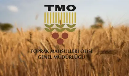TMO 2026 Çeltik Alım Fiyatlarını Açıkladı: Tonu 45 Bin TL