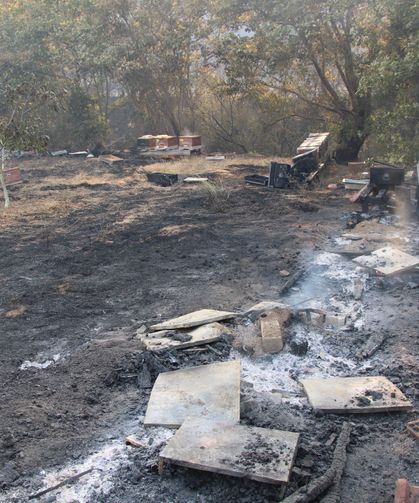 Çanakkale’deki Orman Yangınında Arı Kovanları Küle Döndü