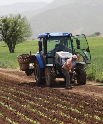 Çiftçi Desteklerinde Yeni Dönem: Bitkisel Üretim Desteklerinin Usul ve Esasları Değişti