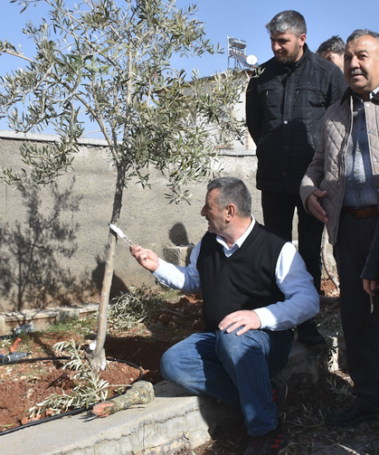 Şahinbey’de Çiftçiye Budama Desteği: Verim Hedefleniyor