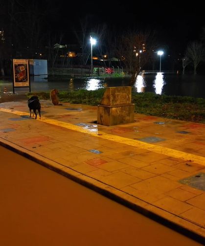 Tunca Taştı, Kırkpınar Sular Altında Kaldı