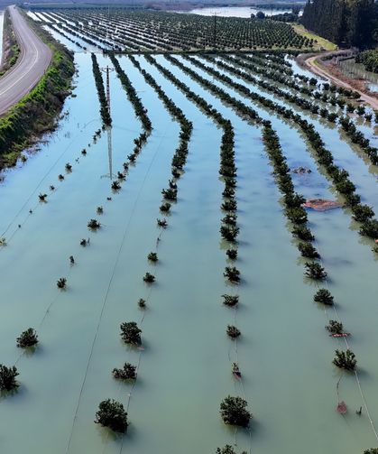 Çukurova Sular Altında: Baraj Kapakları Açıldı