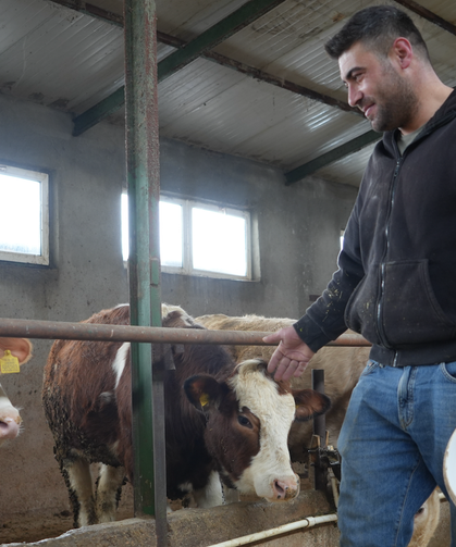 Yem Desteği Nefes Aldırdı: Üretici Maliyetlerden Kurtuldu