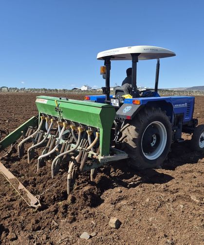 Gaziantep’te Nohut Ekim Mesaisi Başladı