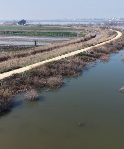 Bursa’da Tarlalar Sular Altında: Çiftçi Ekim İçin Beklemede
