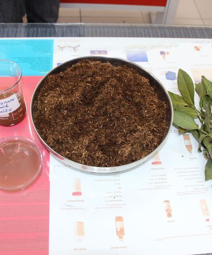 Çay Atığından Devrim: Yüzde 100’e Yakın Koruma!