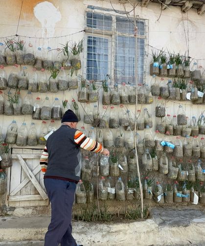 Bahçesi Yoktu, Duvarı Tarlaya Çevirdi!
