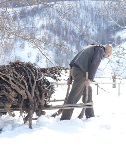 Muş’ta Geven Otu Geleneği Sürüyor