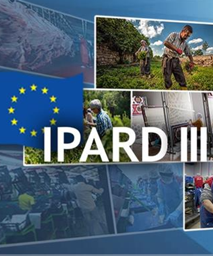 Kırsala Dev Hibe Desteği: 241 Milyon Avroluk Takvim Açıklandı