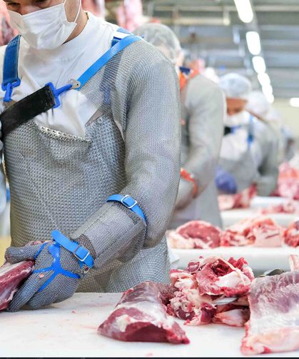 KIRMIZI ETTE BÜYÜK SKANDAL! 8 İLDE OPERASYON