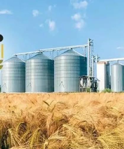 TMO'dan Çeltik Üreticisine 97 Milyon TL’lik Ödeme Müjdesi