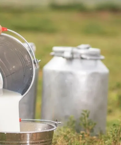 Trakya’da Süt Üreticileri İçin Yeni Dönem: Kooperatif Hamlesi