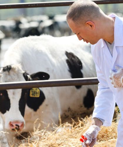 SAĞLIĞIN SESSİZ NÖBETÇİLERİ: VETERİNER HEKİMLER