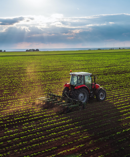 Çiftçiye 10,6 Milyarlık Dev Destek Hesaplara Yatıyor