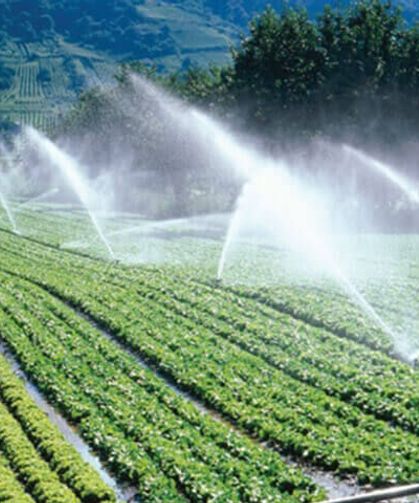 Tarımda Hibe Desteği Genişledi! Yeni Alanlar Belirlendi