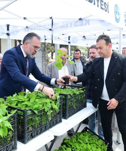 Kestel’den Dev Tarım Hamlesi: 6 Bin Ahududu Fidanı Dağıtıldı